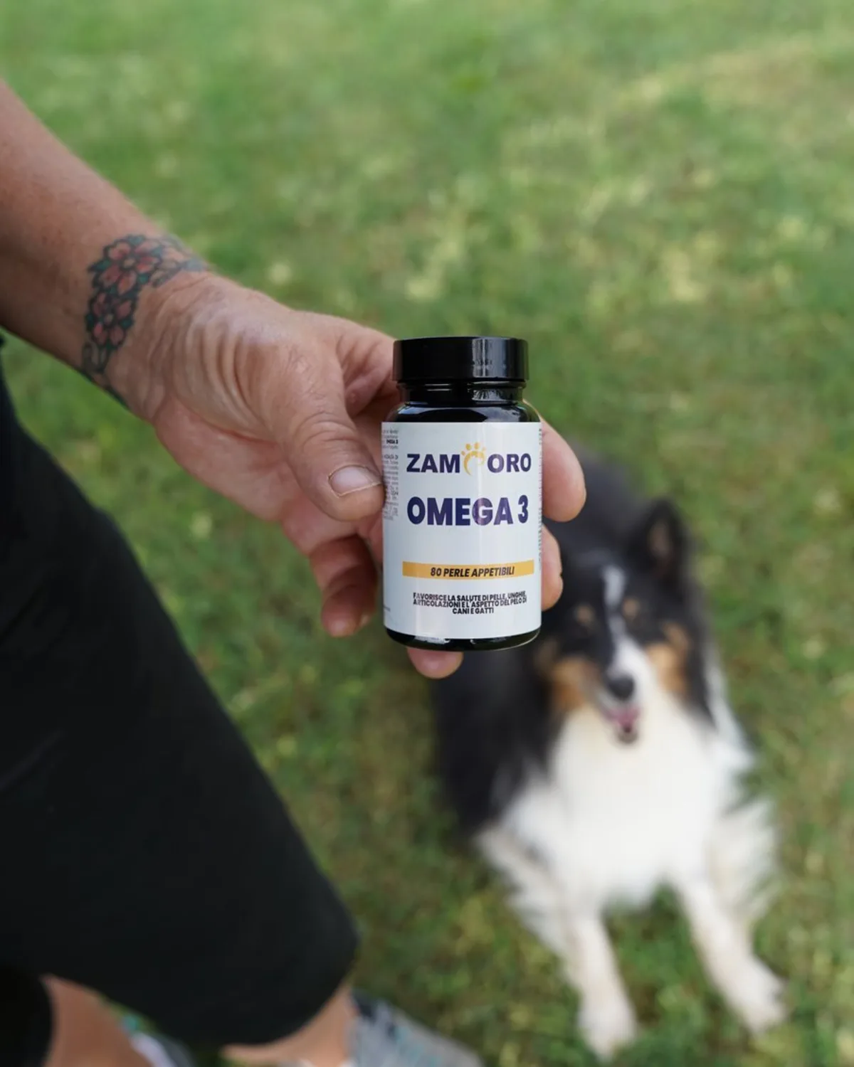 Perro con el suplemento Omega 3 Zamporo durante el shooting en Lucca